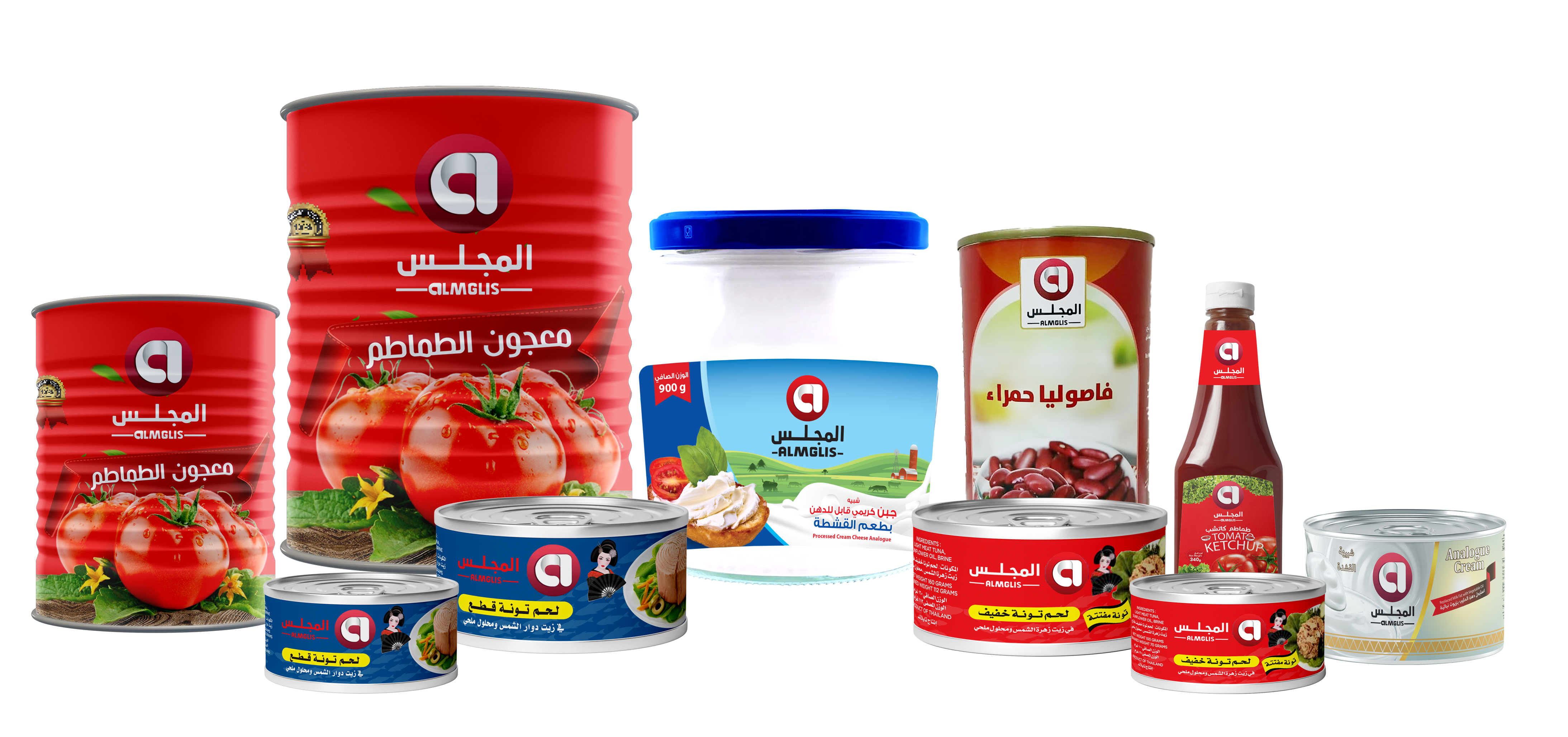 الرئيسية