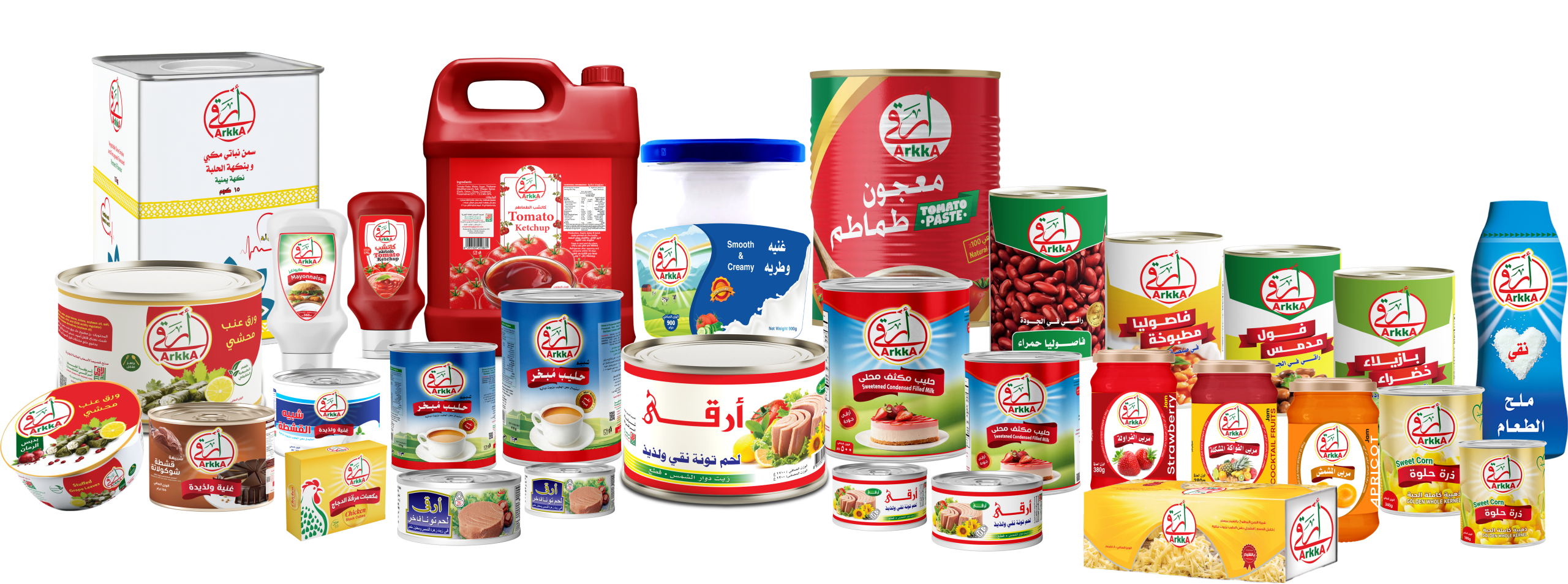 الرئيسية
